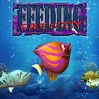 Download Fish Feeding Frenzy